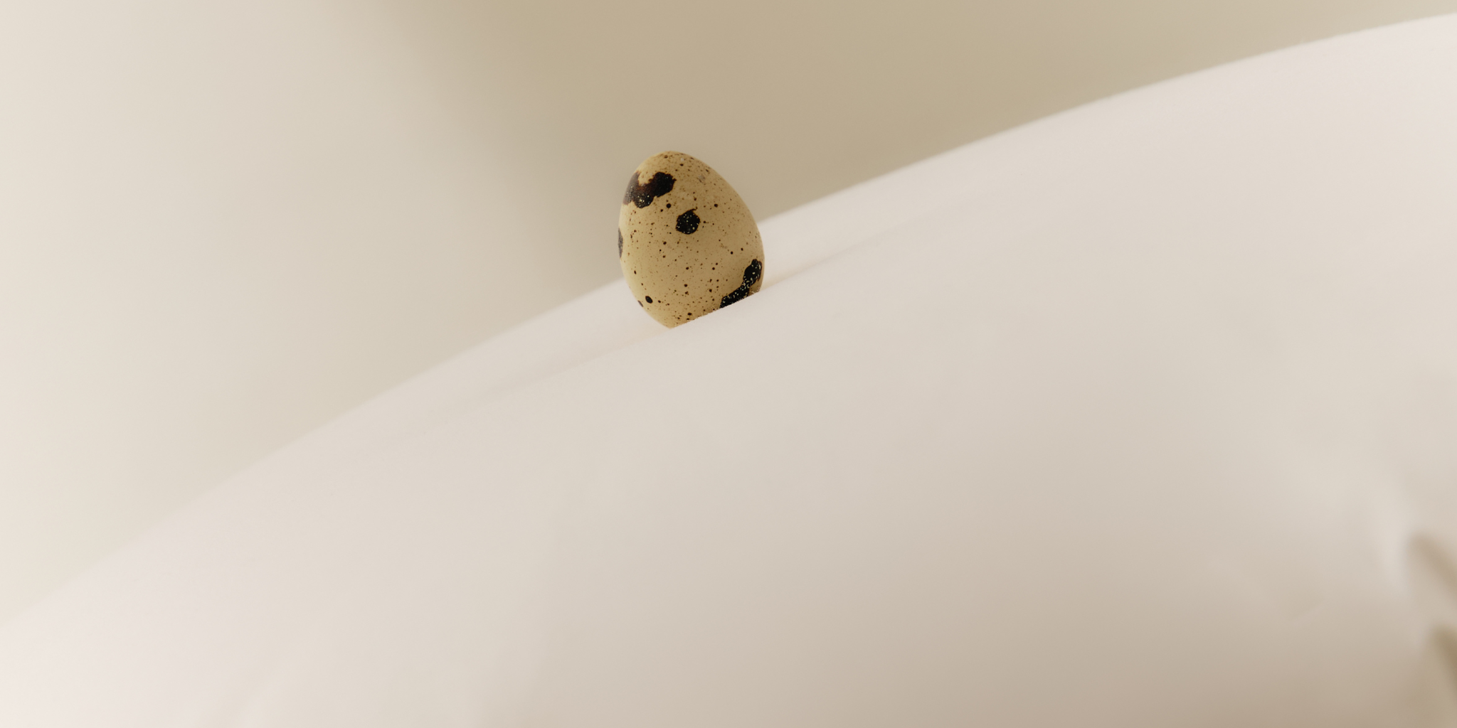 seta per apnea notturna